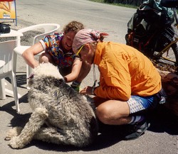 Jeppe & Bello med hund