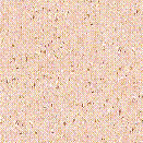 bak16.jpg (17389 bytes)