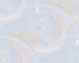 bg167.jpg (1048 bytes)